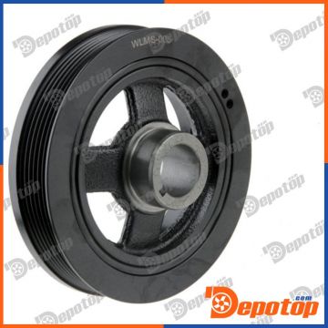Poulie damper vilebrequin pour MITSUBISHI | RKP-MS-005, MDS-4B12